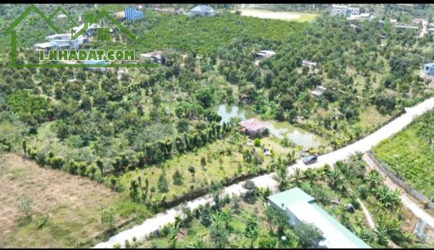 Bán đất nền sẵn sầu riêng đang thu tại Quốc Lộ 55, 690 triệu, 310m2 tại Lộc Nam, Bảo Lâm, - 2