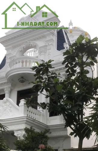 BÁN BIỆT THỰ 3,5 TẦNG PHONG CÁCH LÂU ĐÀI PHÁP TÂN CỔ ĐIỂN, KIỆT ÔTÔ VÕ NGUYÊN GIÁP, TP HUẾ - 2