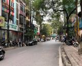 Bán nhà 7T THANG MÁY Nguyên Hồng, Đống Đa, 85m2, Dòng tiền 840tr/năm, 42 tỷ