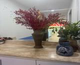 BUILDING VIP SIÊU DÒNG $ MẶT PHỐ BÙI THỊ XUÂN HAI BÀ TRƯNG VỊ TRÍ ĐẸP 133m2 MT 7.1m 160 TỶ