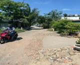 Bán đất đường Bùi Thị Lùng huyện Hóc Môn