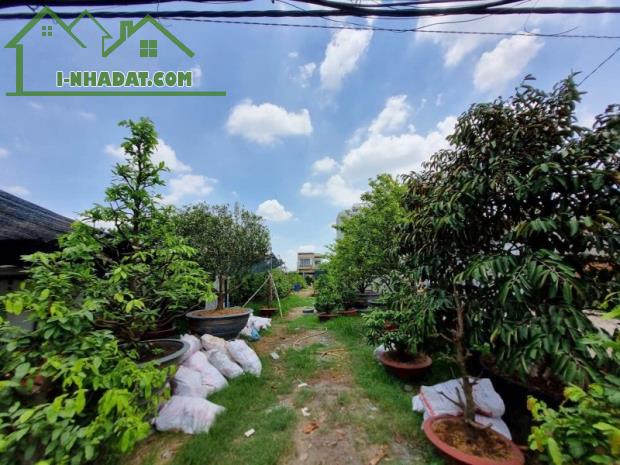 Bán đất mặt tiền thổ cư Bình Chánh, đường Vườn Thơm, 582m2, chỉ 18 triệu/m2. - 1