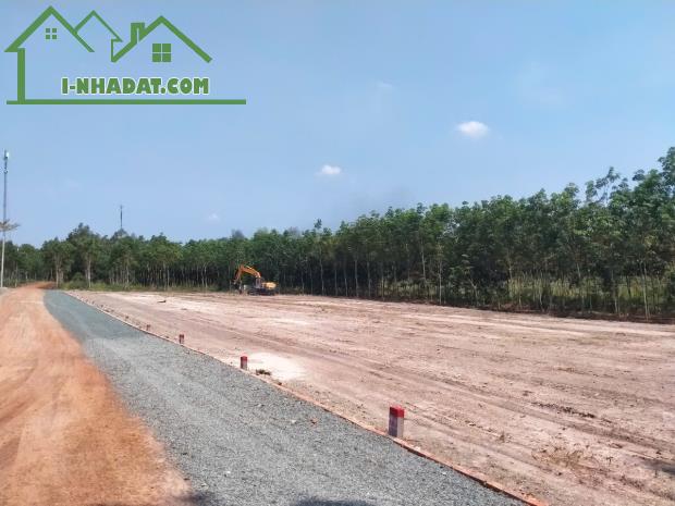 Hiện em cần bán 3 lô liền kề Minh Thạnh, Dầu Tiếng, Bình Dương - 2