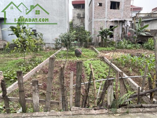 SỞ HỮU NGAY LÔ ĐẤT PHÂN LÔ VUÔNG VẮN - VỊ TRÍ ĐẮC ĐỊA, TIỆN ÍCH NGẬP TRÀN! - 1