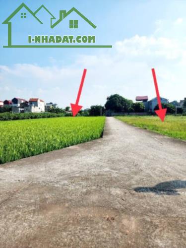 Bán Đát Ruộng GiA Lâm Lệ Chi Kim Hồ