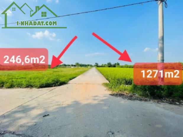Bán Đát Ruộng GiA Lâm Lệ Chi Kim Hồ - 1