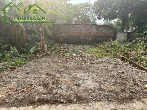 CẦN BÁN NHANH LÔ ĐẤT TẠI Xóm Tiên, Tiên Hùng, Nguyên Khê, Đông Anh, TP Hà Nội - 3