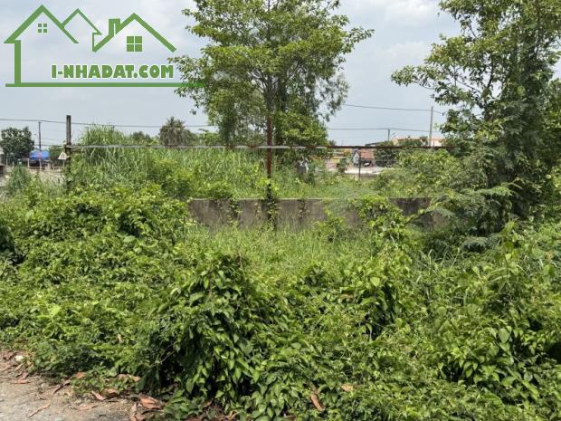 Bán đất mặt tiền Bình Chánh, đường Láng Le Bàu Cò, 1520m2, 3 mặt tiền, chỉ 10+X tỷ - 2