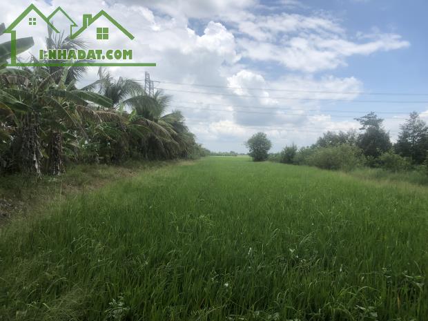 ĐẤT NGUYỄN VĂN THẢNH - BÌNH TÂN - VĨNH LONG - HƠN 10.000 m2 - GIÁ 250tr/ 1.000 m2. - 5