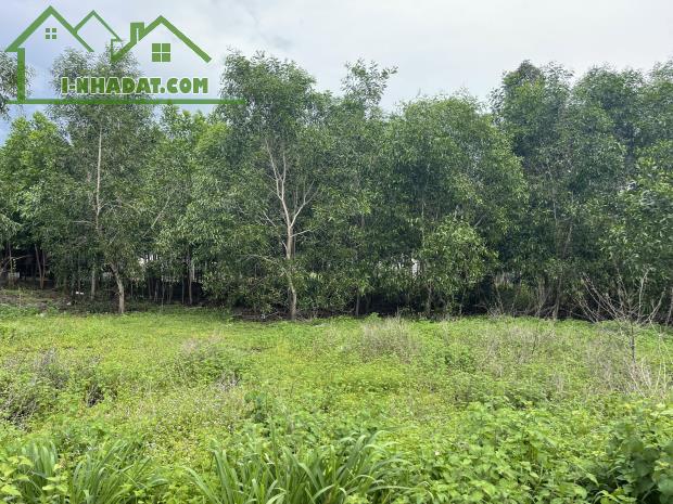 Chỉ 750 triệu đất full thổ cư Hẻm Nguyễn Chí Thanh, Tân Bình, LaGi sổ riêng - 1