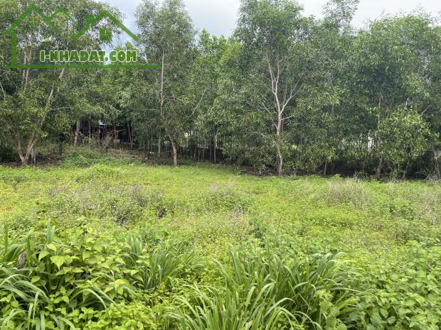 Chỉ 750 triệu đất full thổ cư Hẻm Nguyễn Chí Thanh, Tân Bình, LaGi sổ riêng - 3
