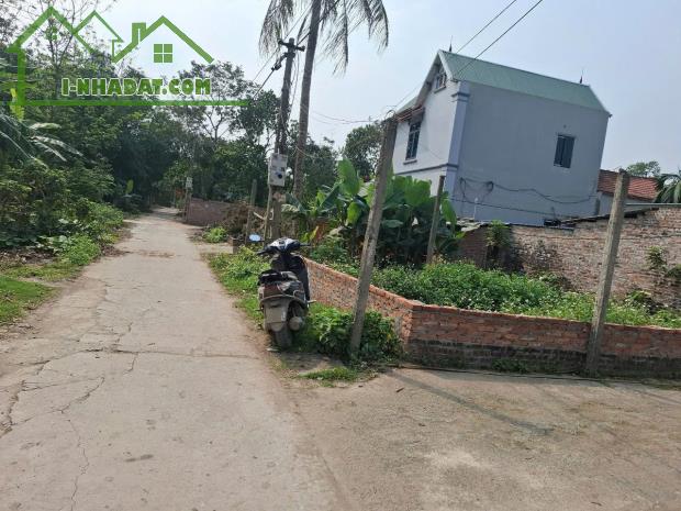 Chính Chủ Gửi Bán Lô Đất 56m Thôn Phú Bến Xã Thuỵ Hương