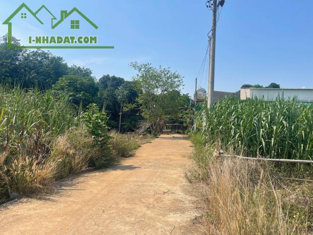 💥 BÁN ĐẤT GIÁ CHỈ 7XX TRIỆU – VỊ TRÍ VÀNG TRUNG TÂM TÂY HÒA – TRẢNG BOM 💥 - 2