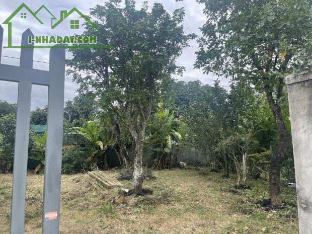 600tr/sào, đất nằm cạnh trường học, DH507, chợ An Linh, bán gấp - 2