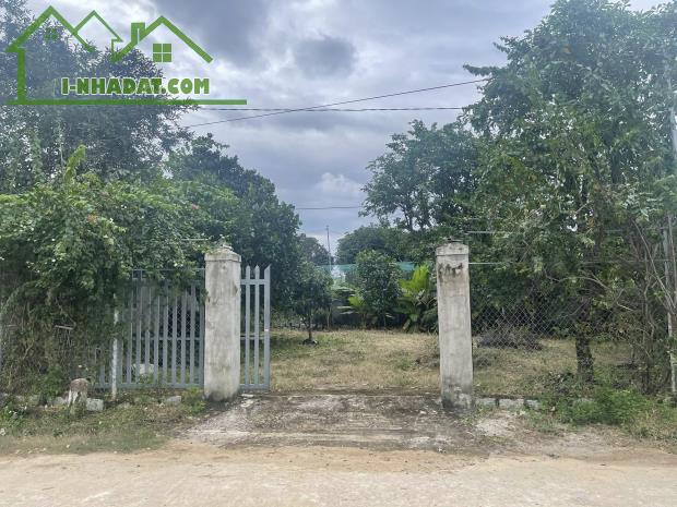 600tr/sào, đất nằm cạnh trường học, DH507, chợ An Linh, bán gấp - 3