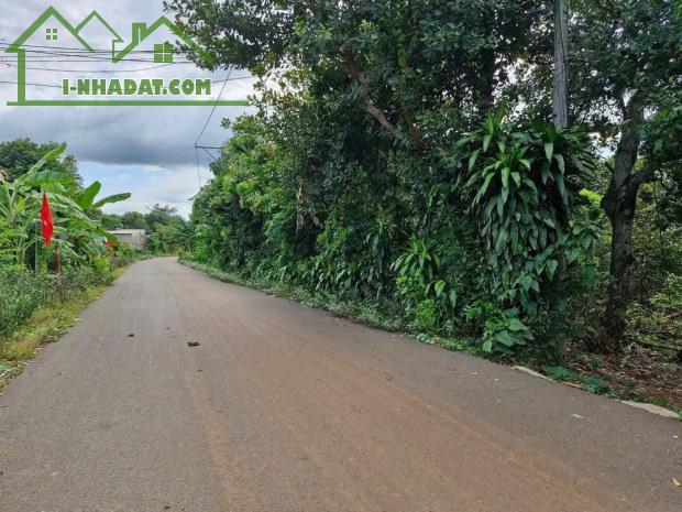 Bán đất 1 mẫu 6 gần KCN Cù Bị, mặt tiền nhựa 200m, có 300m² thổ cư, sổ liền tay, sinh lời