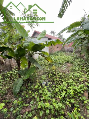 Thuận thành - OTO vào đất - gần đường vành đai 4 - vùng thủ đô - đầu tư - 3