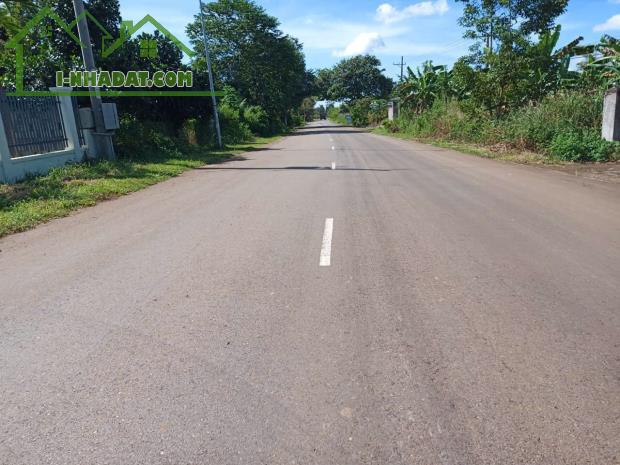 Đất 4 sào Kim Long, Châu Đức – giá chỉ 3 tỷ, pháp lý rõ ràng, sổ riêng sang tên ngay