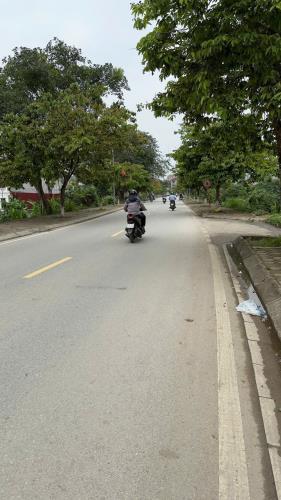 🌟 Lô Góc Phụng Châu – Đẹp Như Mối Tình Đầu - 1
