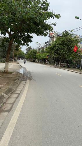 🌟 Lô Góc Phụng Châu – Đẹp Như Mối Tình Đầu - 2