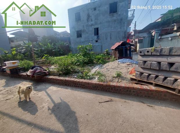 Đất Mai Lâm 95.2m2, mt9m, 7.45 tỷ, 3 thoáng, Đông Anh - 1