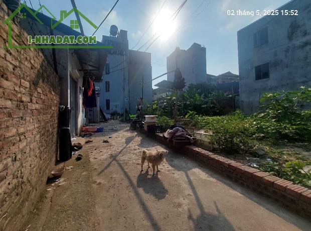 Đất Mai Lâm 95.2m2, mt9m, 7.45 tỷ, 3 thoáng, Đông Anh - 2