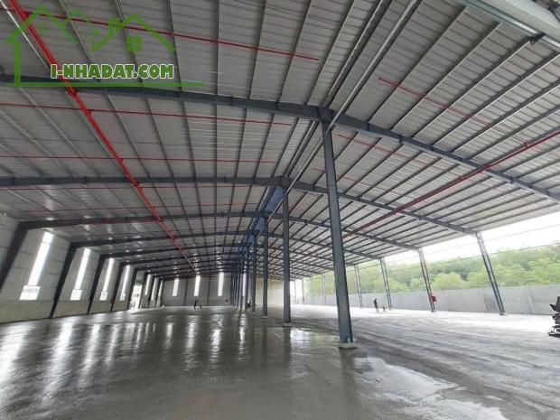 Cho Thuê 8500m2 Đất + Xưởng Gía 294 triệu Bến Cát ,PCCC Tự Động ,Đường Cont G.Tờ Đầy Đủ - 2