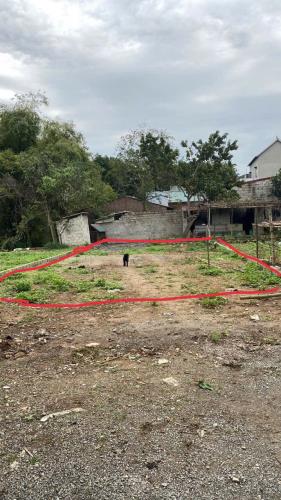 Bán mảnh 130m Tân Tiến Chương Mỹ, ô tô vào tận đất, tiện ích đầy đủ giá chỉ 1,77 tỷ - 2