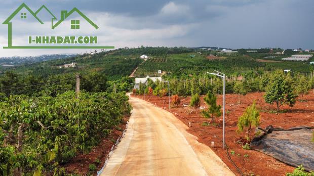 Cần bán Đất Xã Tân Hà Lâm Hà Diện tích 302m² Giá 495 Triệu Thổ Cư 177m² - 3