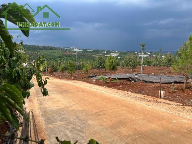Cần bán Đất Xã Tân Hà Lâm Hà Diện tích 302m² Giá 495 Triệu Thổ Cư 177m² - 1