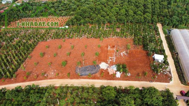 Cần bán Đất Xã Tân Hà Lâm Hà Diện tích 302m² Giá 495 Triệu Thổ Cư 177m²