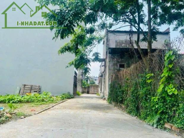 CHÍNH CHỦ BÁN ĐẤT THỔ CƯ SẴN SỔ TẠI XUÂN NỘN-ĐÔNG ANH - 1