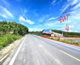 BÁN 2 SÀO ĐẤT (29x61=2330M2) SẴN 200M THỔ CƯ MINH HƯNG CHƠN THÀNH 890tr