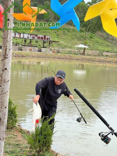 Bán đất Đang Kinh Doanh Buôn Bán ấp Bàu Chim, Xã Phú Xuân, Tân Phú Đồng Nai