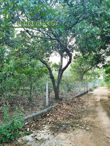 ĐẤT NÔNG NGHIỆP 1.7 HA, EA KAO - BUÔN MA THUỘT  - GIÁ HẤP DẪN 450 TRIỆU/SÀO - 2