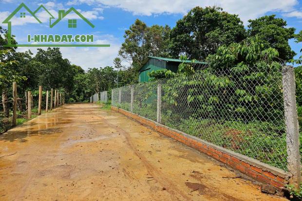 ĐẤT NÔNG NGHIỆP 1.7 HA, EA KAO - BUÔN MA THUỘT  - GIÁ HẤP DẪN 450 TRIỆU/SÀO - 4