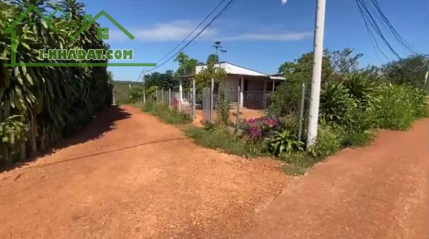 ĐẤT MẶT TIỀN 10.000M2 THÔN TÂN LỰC, BÙ NHO, PHÚ RIỀNG, BÌNH PHƯỚC, NGAY KCN BÙ NHO