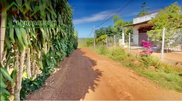 ĐẤT MẶT TIỀN 10.000M2 THÔN TÂN LỰC, BÙ NHO, PHÚ RIỀNG, BÌNH PHƯỚC, NGAY KCN BÙ NHO - 4