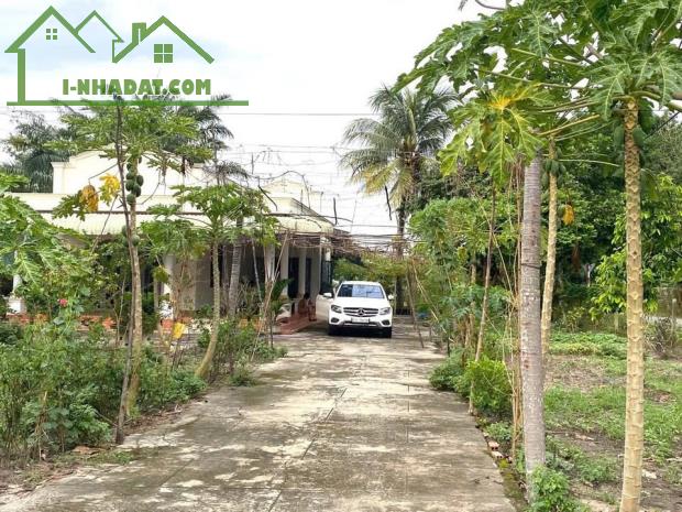 5000m2 đất góc 2 mặt tiền đường Nguyễn Thị Rành, xã Nhuận Đức giá 30 tỷ - 1