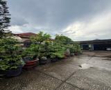 ĐƯỜNG SỐ 8 - LINH XUÂN - 1515m2 - FULL THỔ CƯ - NGANG 50M - 68T