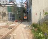 Bán nhanh mảnh đất tại Cửu Việt Trâu Quỳ, Gia Lâm