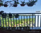 Cần bán gấp căn hộ chung cư Thanh Hà Mường Thanh, căn góc view hồ giá rẻ.