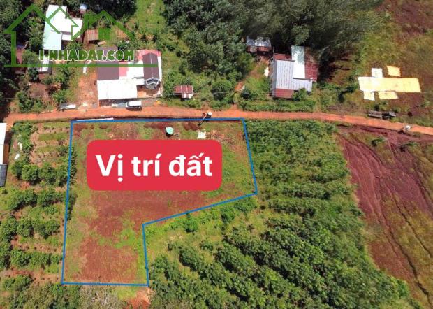 BÁN 2 SỔ ĐẤT NGÓ QUA SÂN BAY GẦN KHU DU LỊCH TRUNG TÂM DÂN ĐÔNG 239 TRIỆU