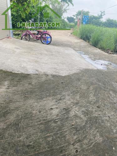 Bán đất tại Quất Động, Thường Tín.Gần chợ, khu công nghiệp Quất Động tiện ích không thiếu - 2