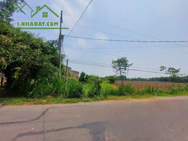 bán đất mặt tiền  Nguyễn Thị Hạnh, 10x50m, xã Đức Lập Thượng, Đức Hòa, Long An.Giá 6.5 tỷ. - 1