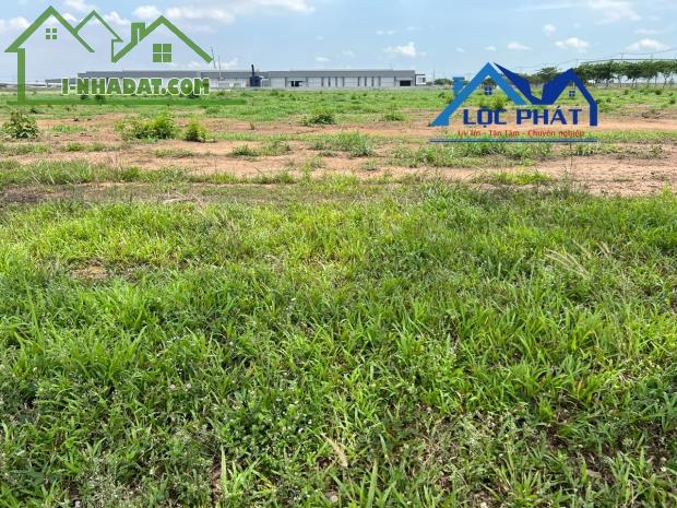 Bán đất KCN Trảng Bom Đồng Nai 31.000m2 Giá 185usd/m2 - 2