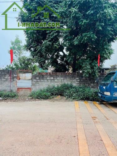 Bán đất trục chính chợ số 8 Đồng Bông, Kim Long, Tam Dương, Vĩnh Phúc - 1