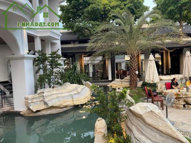 Bán đất mặt tiền Dương Quảng Hàm, P.6, Gò Vấp: 50 x 110, giá 420 tỷ. - 3