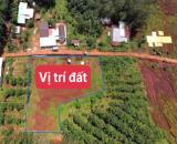 BÁN 2 SỔ 500M2 ĐẤT THỔ CƯ DÂN ĐÔNG, CÔNG TY, SÂN BAY, KDL KẾ BÊN ĐÚNG 239TR