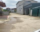 Bán đất tại Quất Động, Thường Tín.Gần chợ, khu công nghiệp Quất Động tiện ích không thiếu